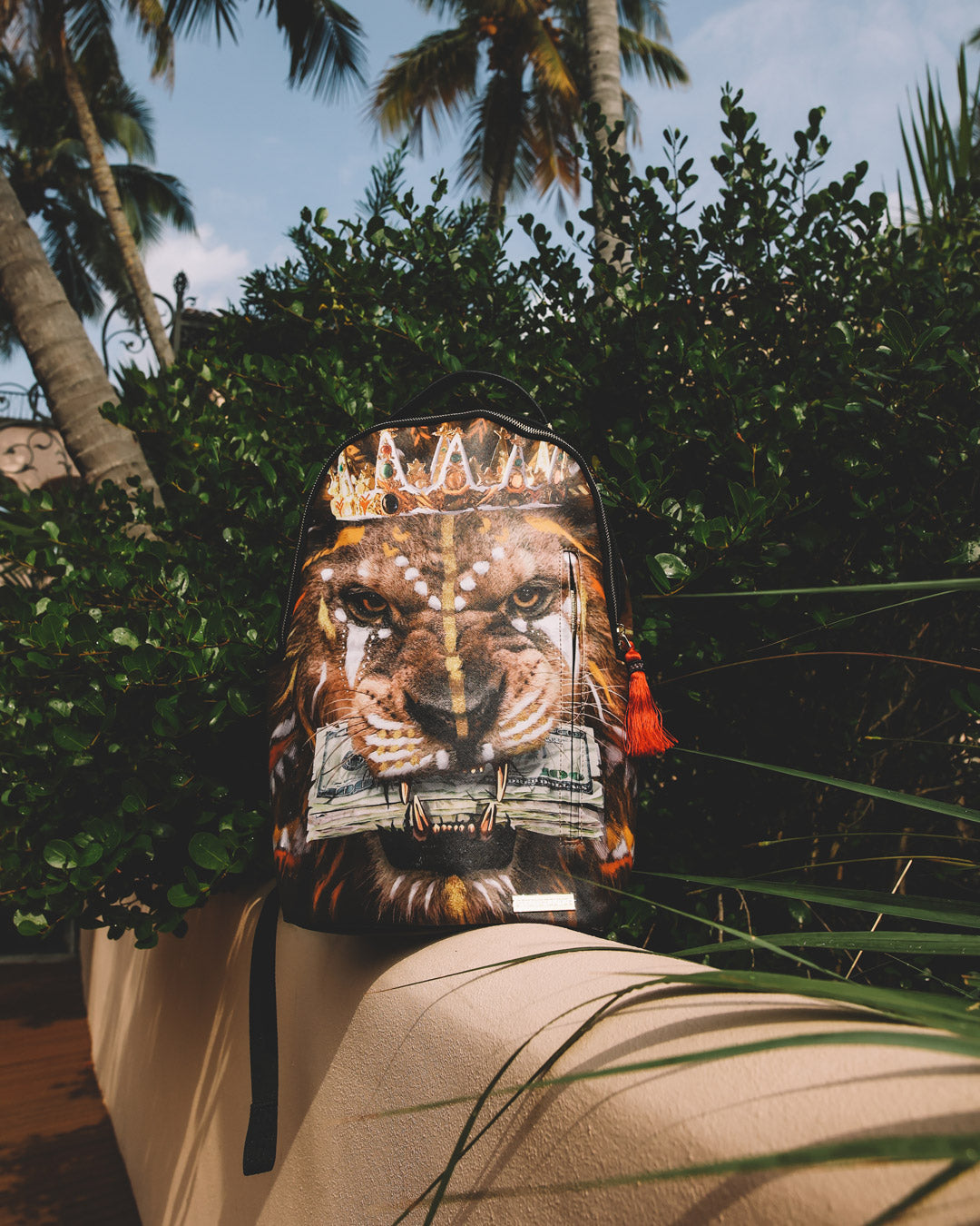 Ai3 THE MOGUL BACKPACK DLXV - Image 14